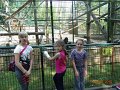 zoo (5)
